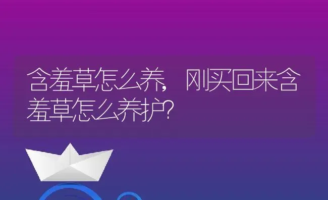 含羞草怎么养,刚买回来含羞草怎么养护？ | 养殖科普