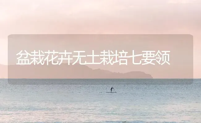 盆栽花卉无土栽培七要领 | 养殖知识