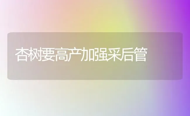 杏树要高产加强采后管 | 养殖技术大全