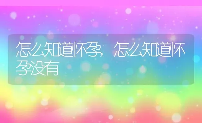 怎么知道怀孕,怎么知道怀孕没有 | 养殖资料