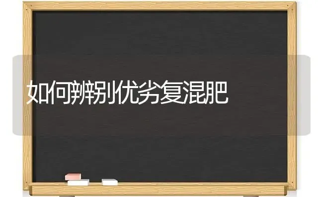 如何辨别优劣复混肥 | 养殖知识
