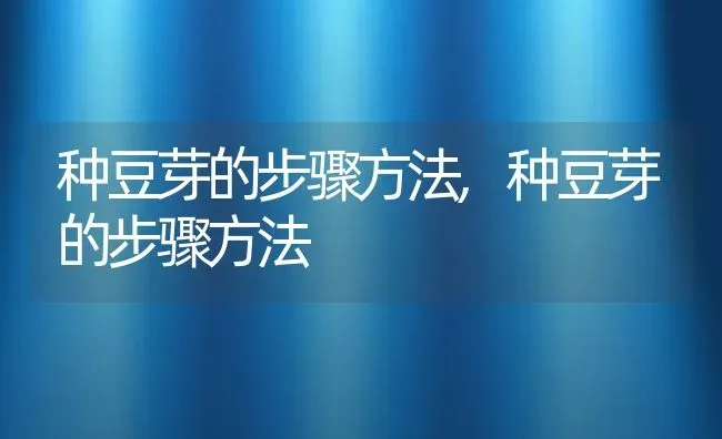 种豆芽的步骤方法,种豆芽的步骤方法 | 养殖科普