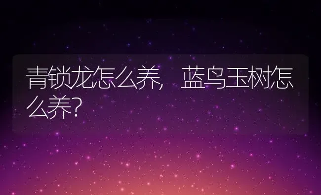 青锁龙怎么养,蓝鸟玉树怎么养？ | 养殖科普