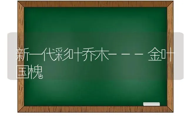 新一代彩叶乔木---金叶国槐 | 养殖技术大全