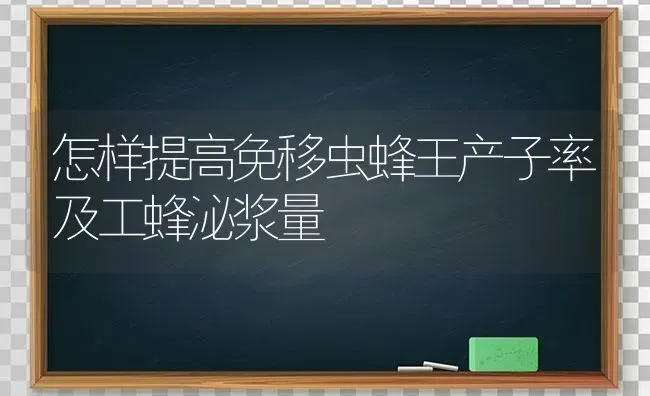 怎样提高免移虫蜂王产子率及工蜂泌浆量 | 养殖技术大全