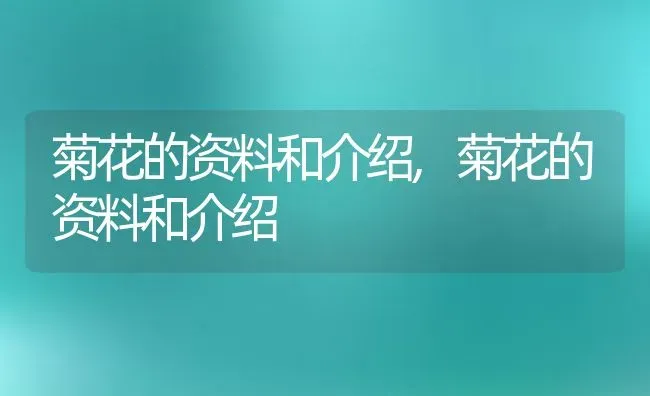 杜鹃花的扦插繁殖方法,大树杜鹃扦插方法？ | 养殖科普