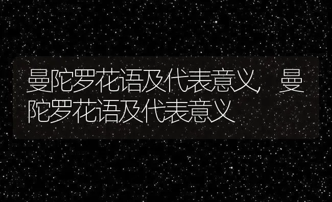 曼陀罗花语及代表意义,曼陀罗花语及代表意义 | 养殖科普