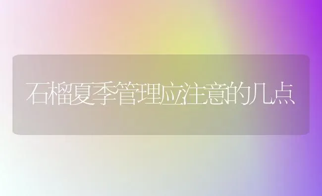 石榴夏季管理应注意的几点 | 养殖知识