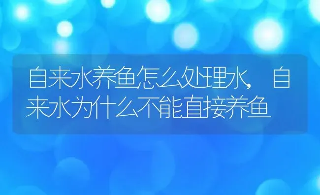 自来水养鱼怎么处理水,自来水为什么不能直接养鱼 | 养殖科普