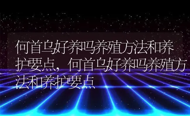 何首乌好养吗养殖方法和养护要点,何首乌好养吗养殖方法和养护要点 | 养殖科普