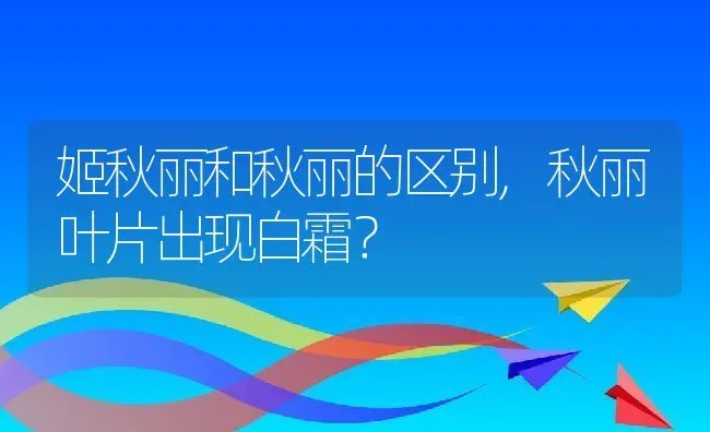 姬秋丽和秋丽的区别,秋丽叶片出现白霜？ | 养殖科普