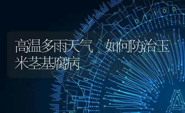 荷兰豆春栽技术 | 养殖技术大全