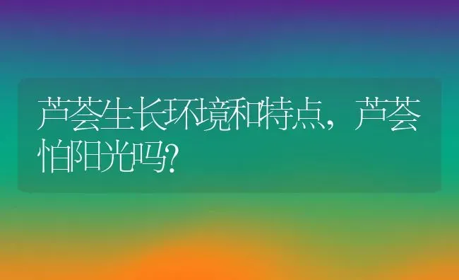 芦荟生长环境和特点,芦荟怕阳光吗？ | 养殖科普