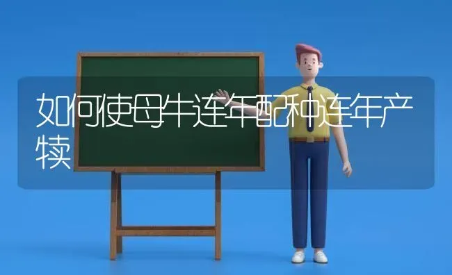 如何使母牛连年配种连年产犊 | 养殖知识