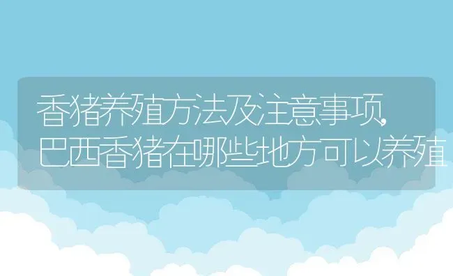 香猪养殖方法及注意事项,巴西香猪在哪些地方可以养殖 | 养殖学堂