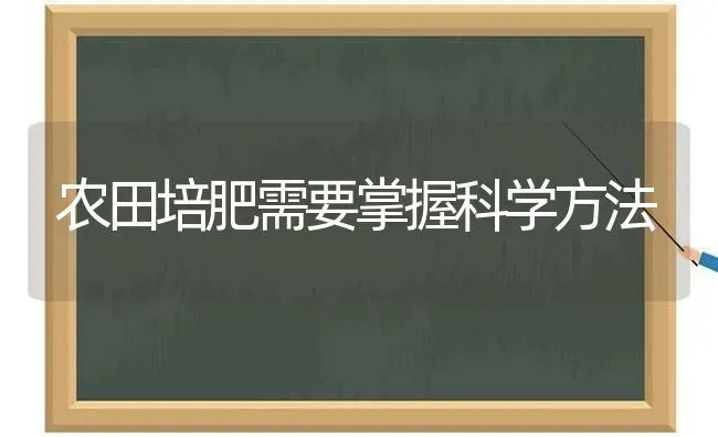 农田培肥需要掌握科学方法 | 养殖知识