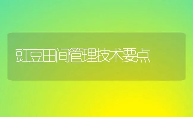 豇豆田间管理技术要点 | 养殖技术大全