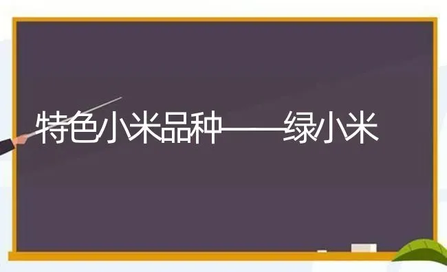 特色小米品种——绿小米 | 养殖知识