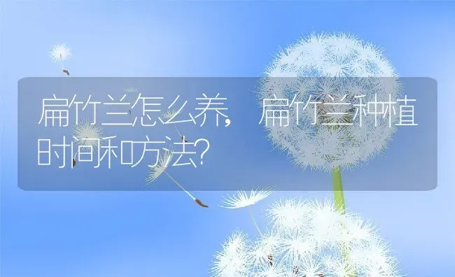 扁竹兰怎么养,扁竹兰种植时间和方法？ | 养殖科普