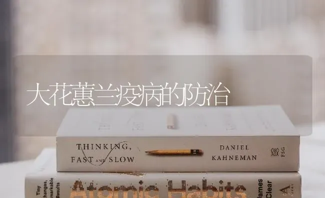 大花蕙兰疫病的防治 | 养殖知识