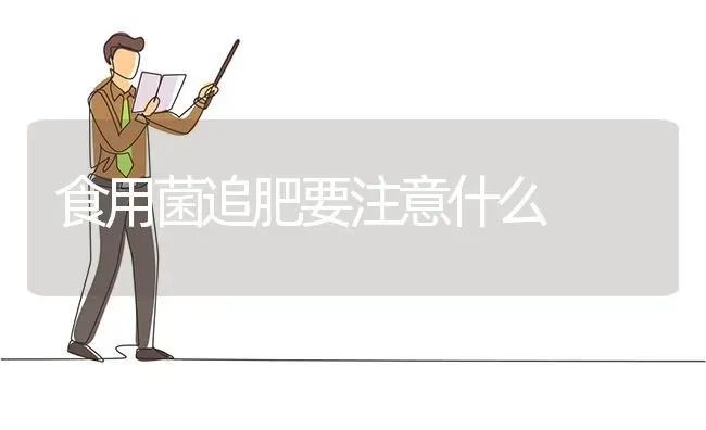 食用菌追肥要注意什么 | 养殖技术大全