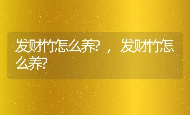 发财竹怎么养?,发财竹怎么养? | 养殖科普