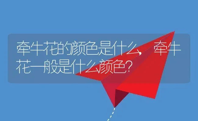 牵牛花的颜色是什么,牵牛花一般是什么颜色？ | 养殖科普