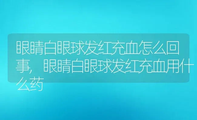 眼睛白眼球发红充血怎么回事,眼睛白眼球发红充血用什么药 | 养殖科普