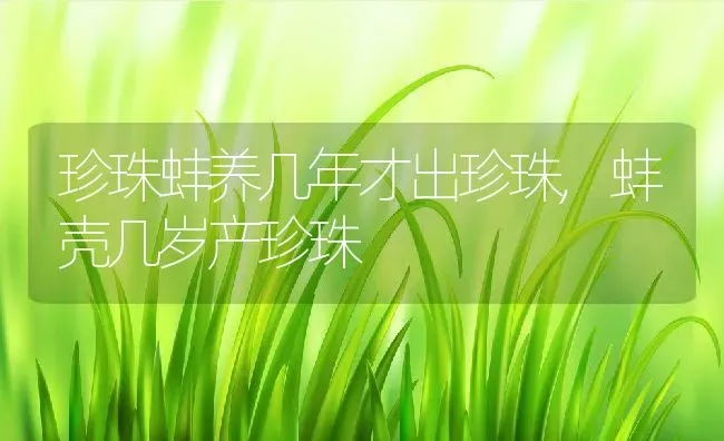 珍珠蚌养几年才出珍珠,蚌壳几岁产珍珠 | 养殖学堂