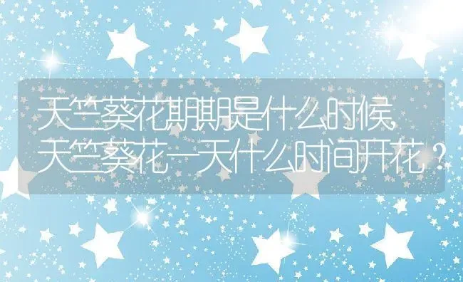 天竺葵花期期是什么时候,天竺葵花一天什么时间开花？ | 养殖科普