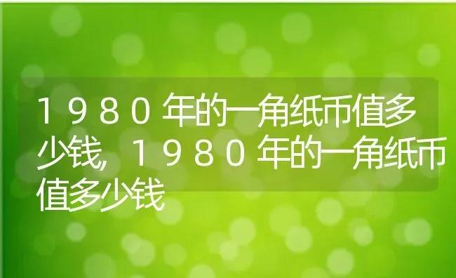 1980年的一角纸币值多少钱,1980年的一角纸币值多少钱 | 养殖科普