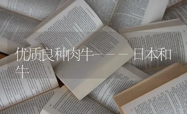 优质良种肉牛---日本和牛 | 养殖技术大全