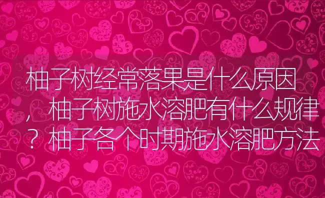 柚子树经常落果是什么原因,柚子树施水溶肥有什么规律？柚子各个时期施水溶肥方法 | 养殖学堂