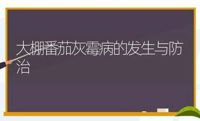 大棚番茄灰霉病的发生与防治 | 养殖技术大全