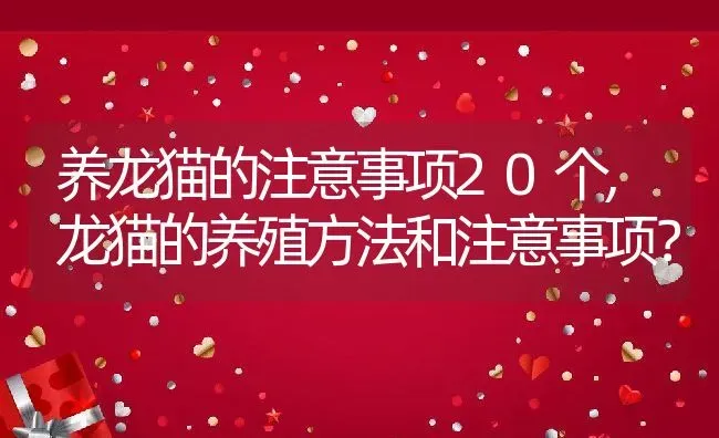 养龙猫的注意事项20个,龙猫的养殖方法和注意事项？ | 养殖学堂