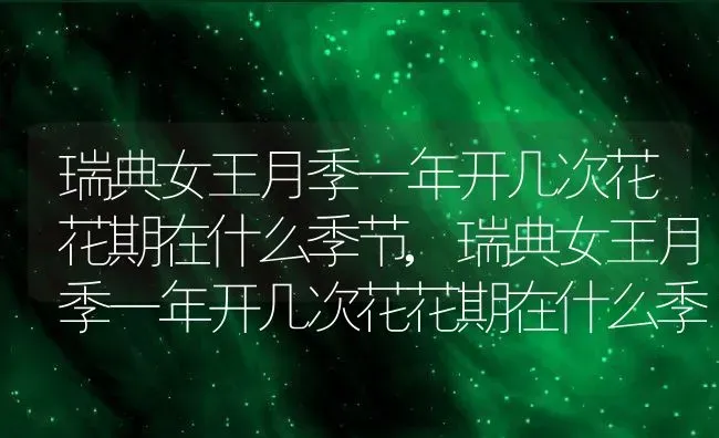 瑞典女王月季一年开几次花花期在什么季节,瑞典女王月季一年开几次花花期在什么季节 | 养殖科普