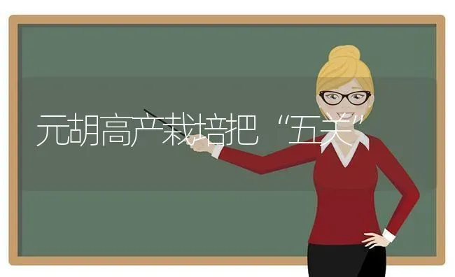 元胡高产栽培把“五关” | 养殖技术大全
