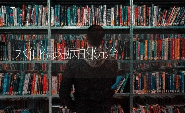 水仙褐斑病的防治 | 养殖知识