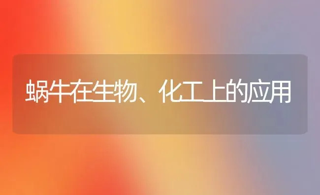 蜗牛在生物、化工上的应用 | 养殖技术大全