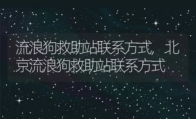 流浪狗救助站联系方式,北京流浪狗救助站联系方式 | 养殖资料