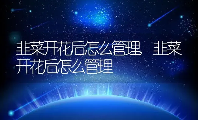 韭菜开花后怎么管理,韭菜开花后怎么管理 | 养殖科普