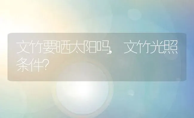 文竹要晒太阳吗,文竹光照条件？ | 养殖科普