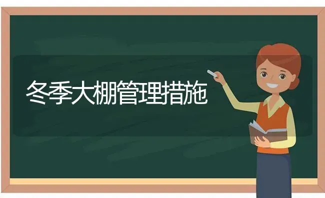 冬季大棚管理措施 | 养殖知识