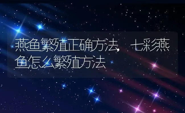 燕鱼繁殖正确方法,七彩燕鱼怎么繁殖方法 | 养殖学堂
