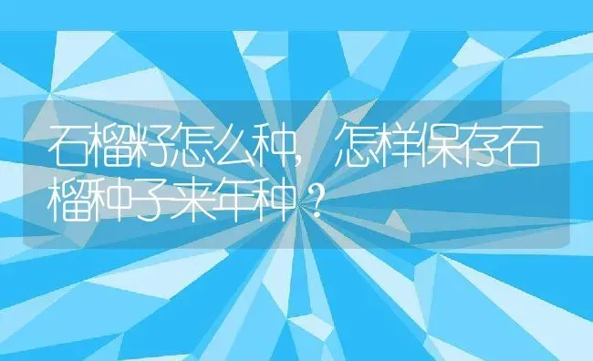 石榴籽怎么种,怎样保存石榴种子来年种？ | 养殖科普