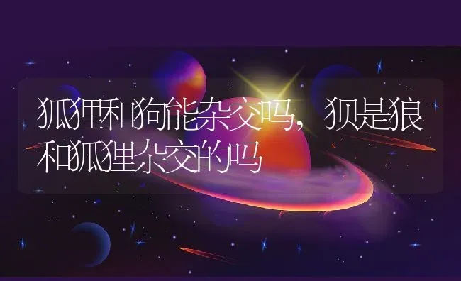 狐狸和狗能杂交吗,狈是狼和狐狸杂交的吗 | 养殖科普