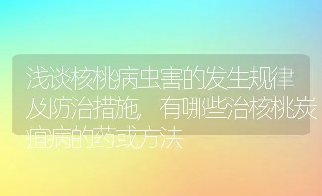 浅谈核桃病虫害的发生规律及防治措施,有哪些治核桃炭疽病的药或方法 | 养殖学堂