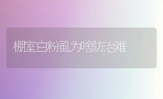 棚室白粉虱为啥防治难 | 养殖知识