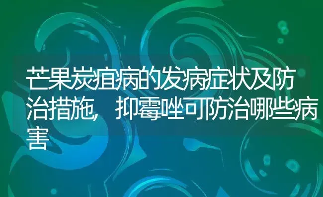 芒果炭疽病的发病症状及防治措施,抑霉唑可防治哪些病害 | 养殖学堂