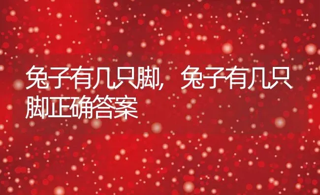 兔子有几只脚,兔子有几只脚正确答案 | 养殖科普